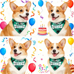 Dog Birthday Bandana Plaid Triangle Scarf IT'S MY BIRTHDAY Pet Birthday Outfit for Small Medium Large Dogs Puppy Birthday Party