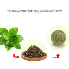 Cats Catnip Cat Toy Natural Ball Removal Cat Grass Treats to Improve Digestion Wall Sticker Scratch Itchy Treat Healthy Supplie