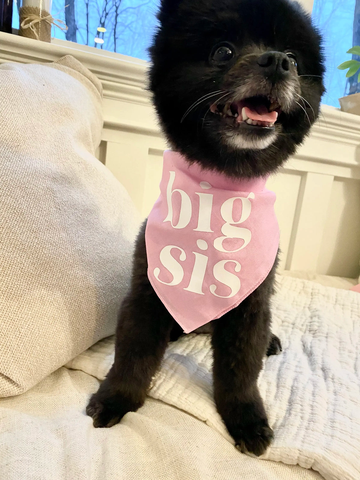 Big Sis Or Big Bro Dog Bandana Scarf For Baby Announcement Birth Announcement Maternity Photoshoot Natural Party Decoration