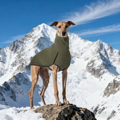 Dog Winter Coat Pajamas Onesies Turtleneck Stretch Greyhound Apparel Pet Clothes Coat Outfit for Medium, Large