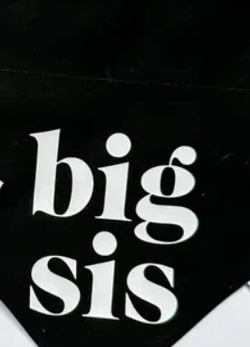 Big Sis Or Big Bro Dog Bandana Scarf For Baby Announcement Birth Announcement Maternity Photoshoot Natural Party Decoration