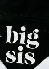 Big Sis Or Big Bro Dog Bandana Scarf For Baby Announcement Birth Announcement Maternity Photoshoot Natural Party Decoration