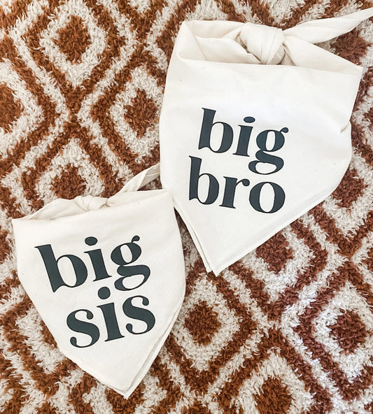 Big Sis Or Big Bro Dog Bandana Scarf For Baby Announcement Birth Announcement Maternity Photoshoot Natural Party Decoration